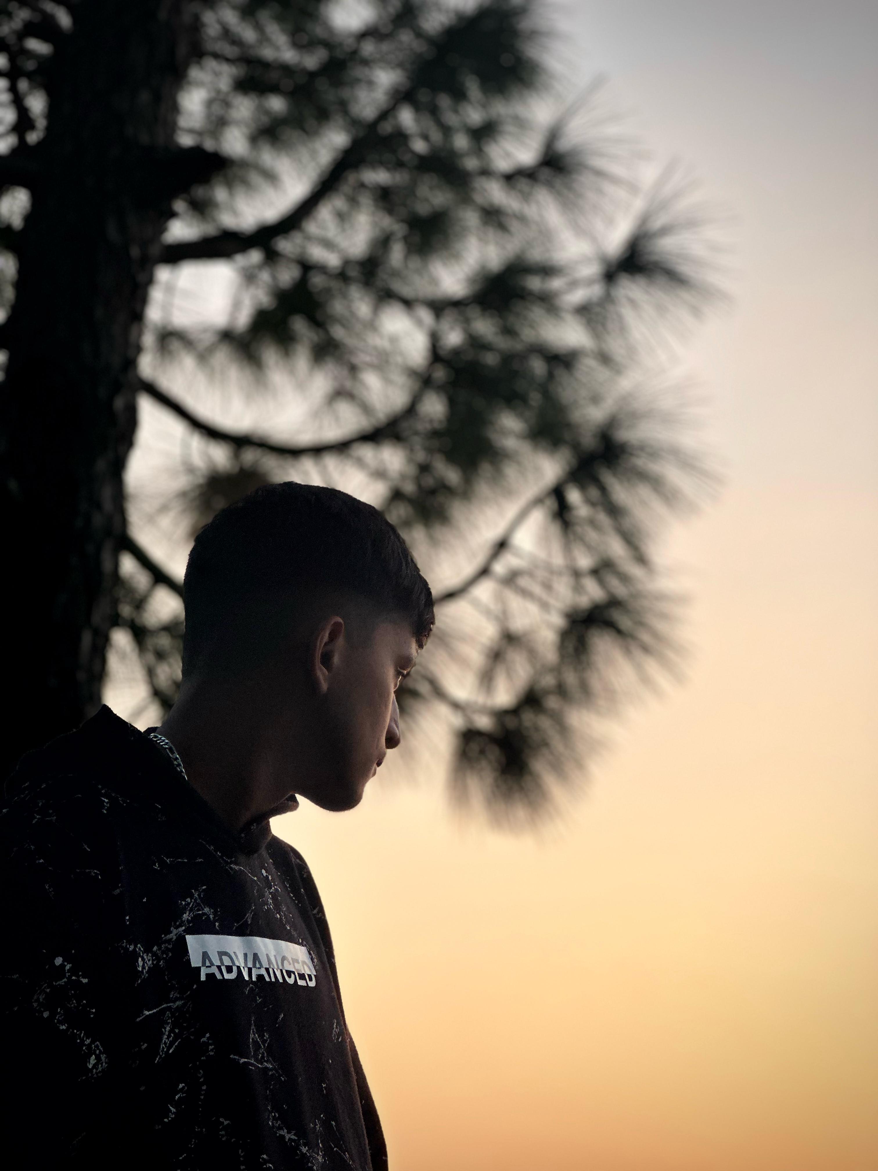 Alpine mountains under a clear sky